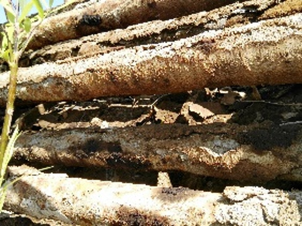 Heater tubes with severe deposits before treatment